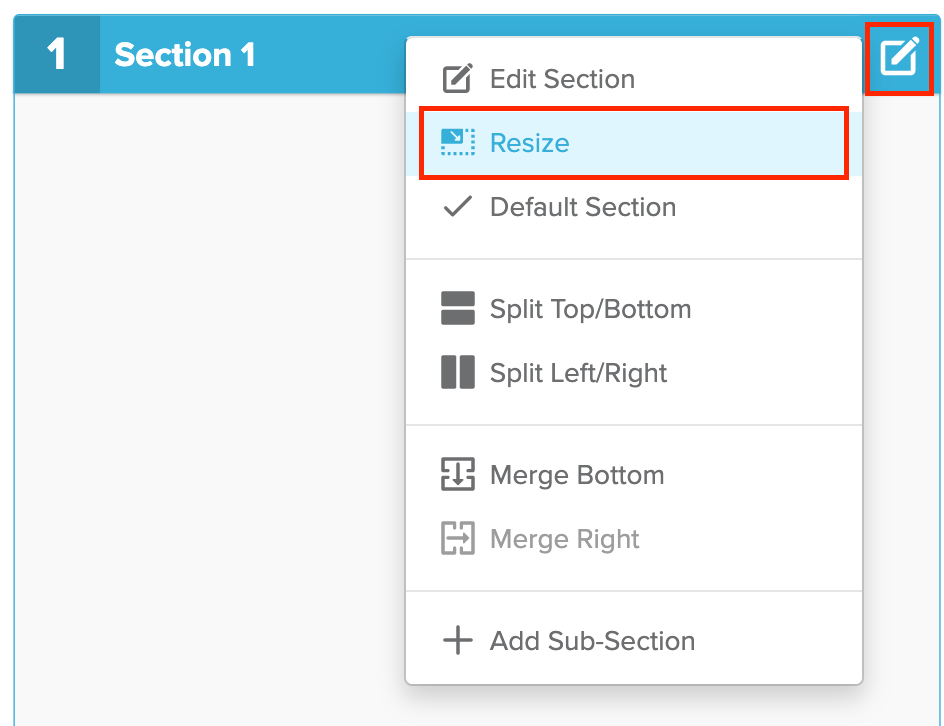 Resize Icon selected in the drop down menu