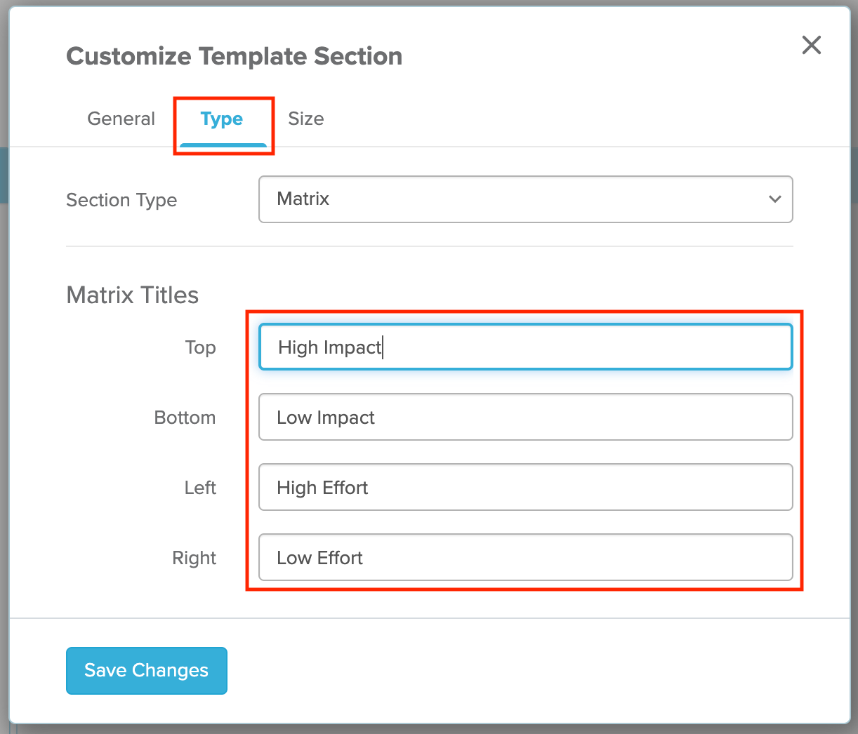 Type tab selected in Customize Template Section Menu