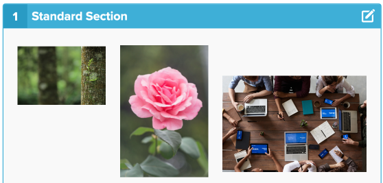 Example of 3 pure images, a wooded area, pink rose, and busy desktop